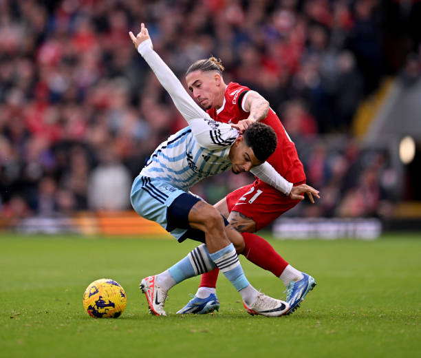 經驗與新星 經驗與新星